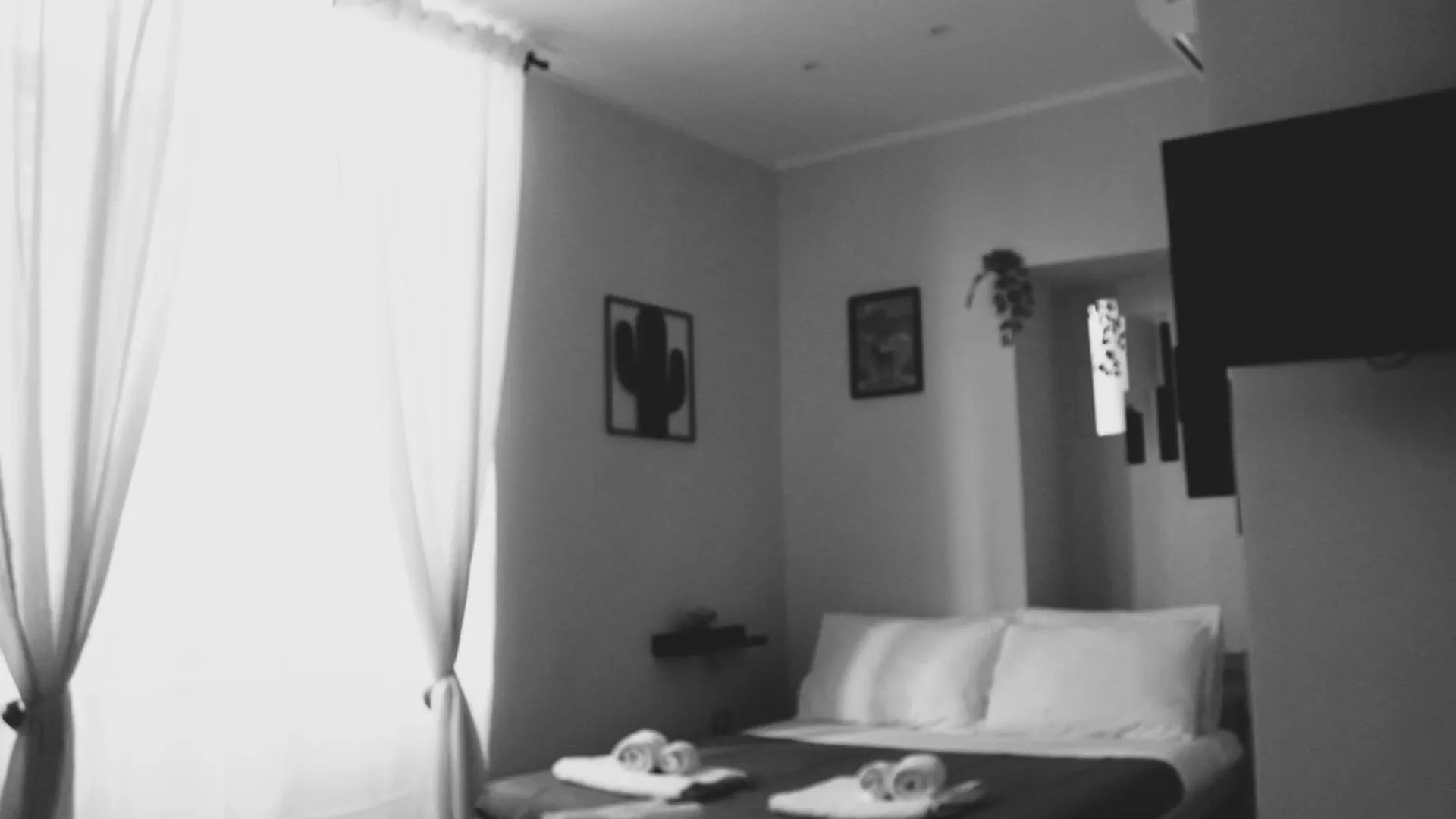 Blackwoody Contemporary Rooms - Napoli Centro Storico Via Toledo 0*, Naples